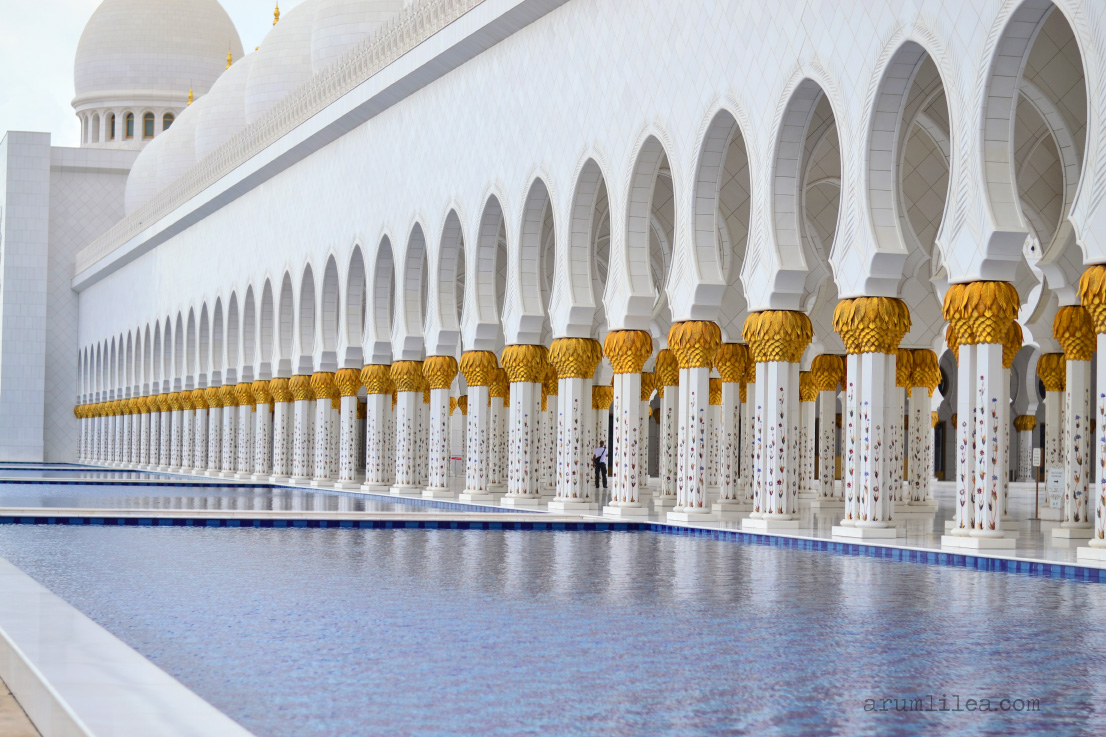 What to do in abu dhabi, united arab emirates