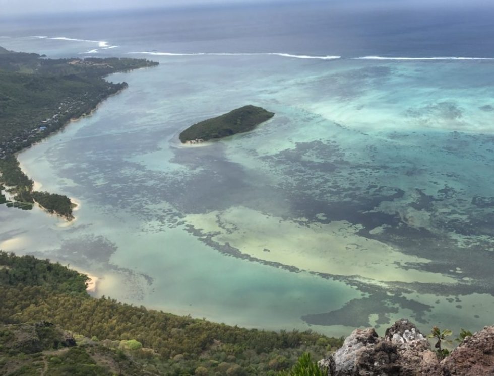 Mauritius Travel Guide | Arum Lilea